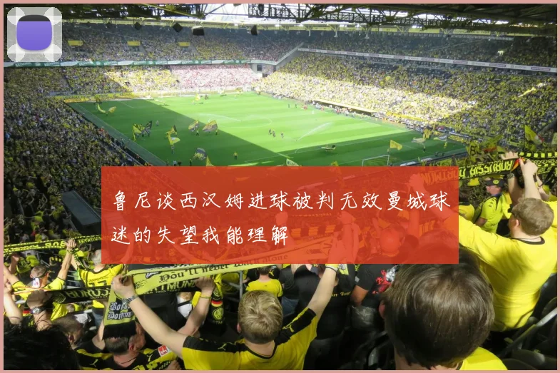 鲁尼谈西汉姆进球被判无效曼城球迷的失望我能理解
