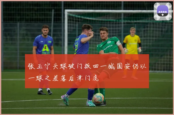 张玉宁头球破门扳回一城国安仍以一球之差落后津门虎